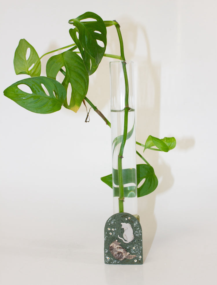 Custom Kitty Plant Tube