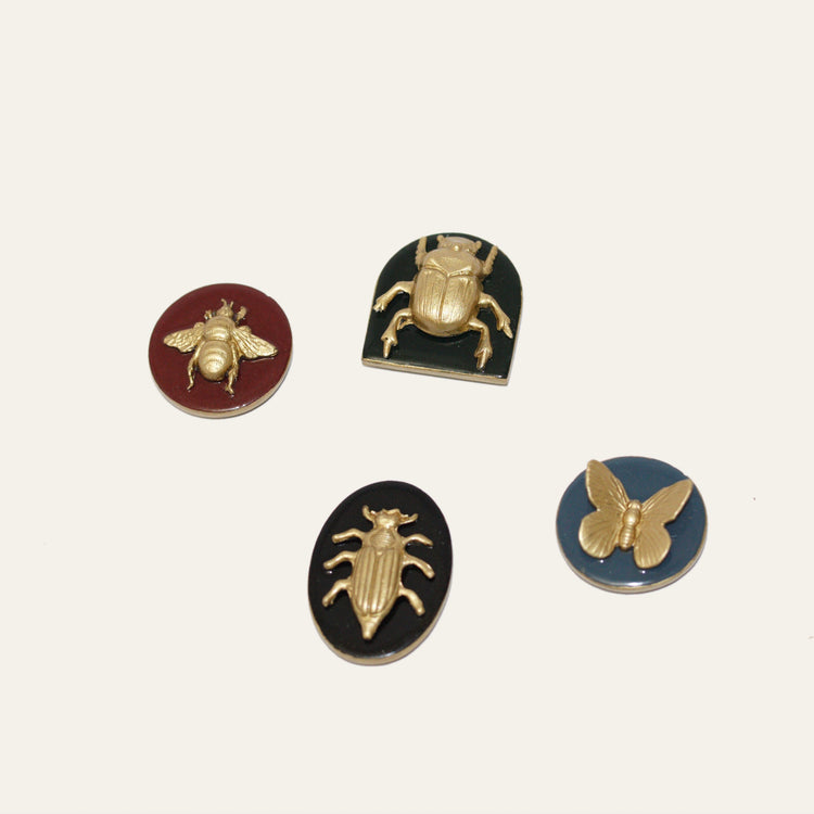 Beetle + Bugs Magnet Set