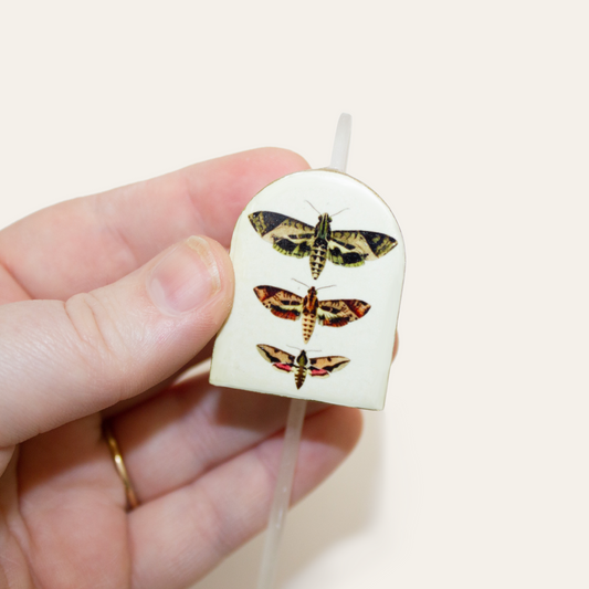 Scientific Moth Bookmark